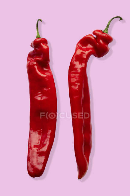 Two rows of red chillies on a pink background — Stock Photo