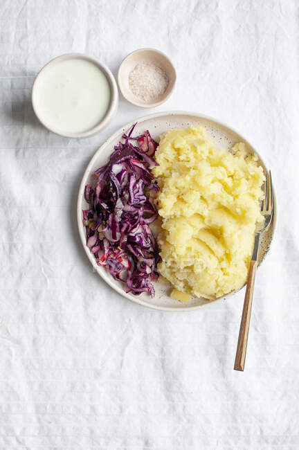 Puree served with red cabbage salad and kefir — Stock Photo
