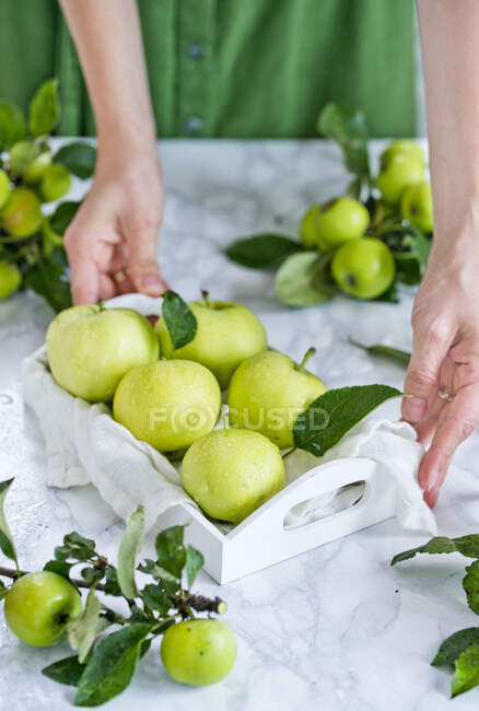 Зеленые яблоки крупным планом — стоковое фото