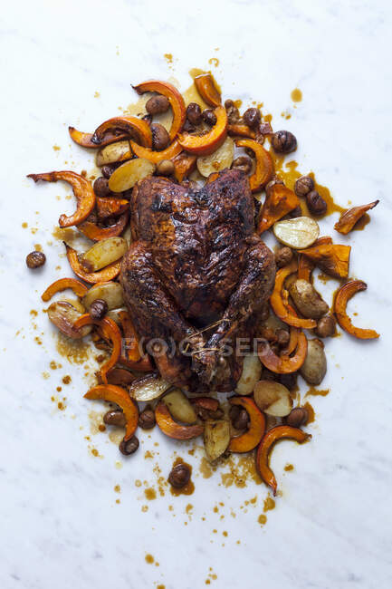 Roast turkey with pumpkin and cider — Stock Photo