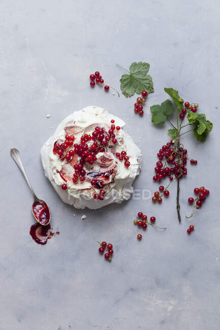 Pavloa with red currants — Stock Photo