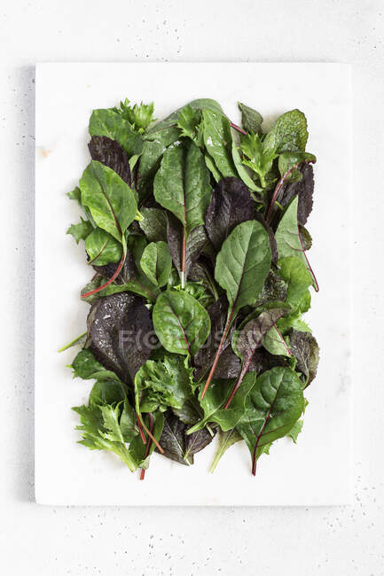 Mélange de salades vue rapprochée — Photo de stock