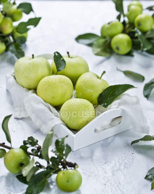Green apples close-up view — Stock Photo