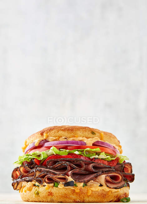 Geräuchertes Schinken-Käse-Sandwich — Stockfoto