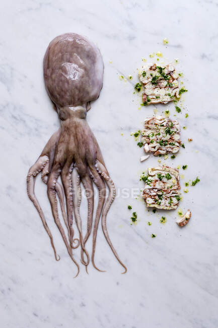 Calamari e calamari terrina — Foto stock