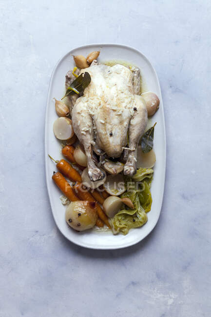 Sopa de pollo con verduras - foto de stock