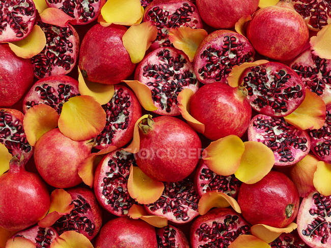 Pomegranates and yellow rose petals (whole image) — Stock Photo