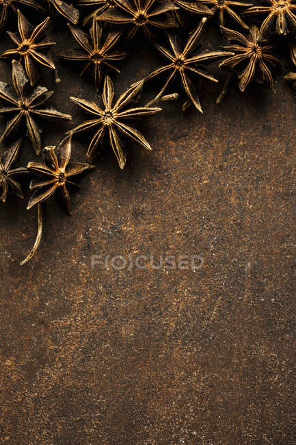 Star anise close-up view — Stock Photo