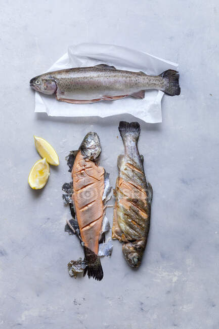 Pan fried trouts close-up view — Stock Photo