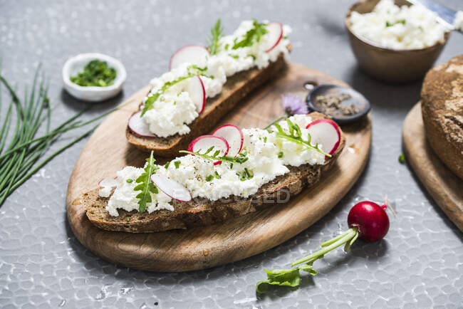 Sandwiches with cottage cheese and weggies — Stock Photo