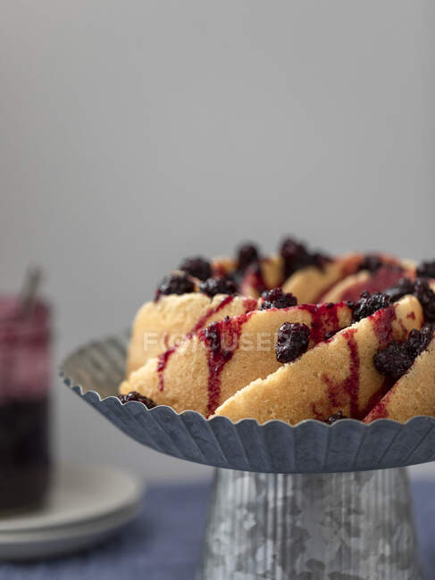 Berry bundt cake with berries — Stock Photo