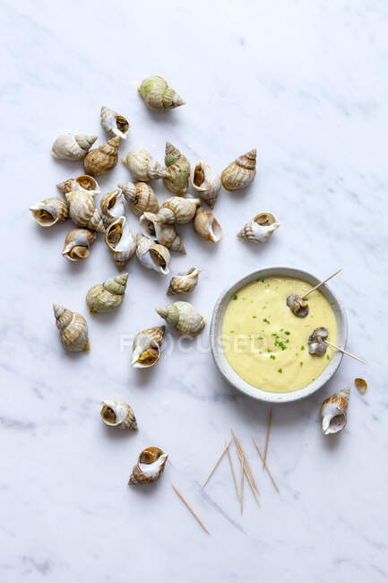 Whelks and mayonnaise close-up view — Stock Photo