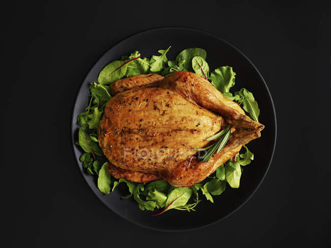 Roast chicken on mixed herbs salad — Stock Photo