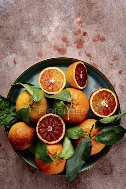 Plate with blood oranges and clementines — Stock Photo