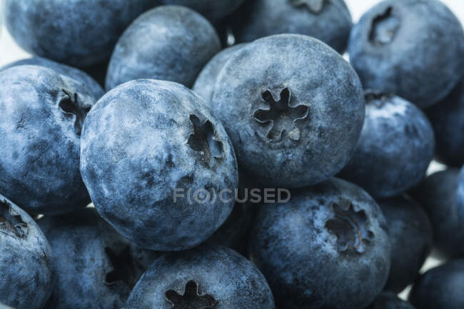 Fresh blueberries pile, close up — Stock Photo