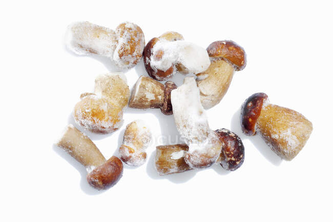 Frozen porcini mushrooms close-up view — Stock Photo