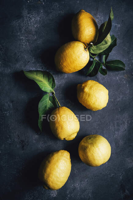 Limón Frutas vista de cerca - foto de stock