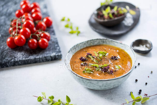 Tomatoes soup with herbs - foto de stock