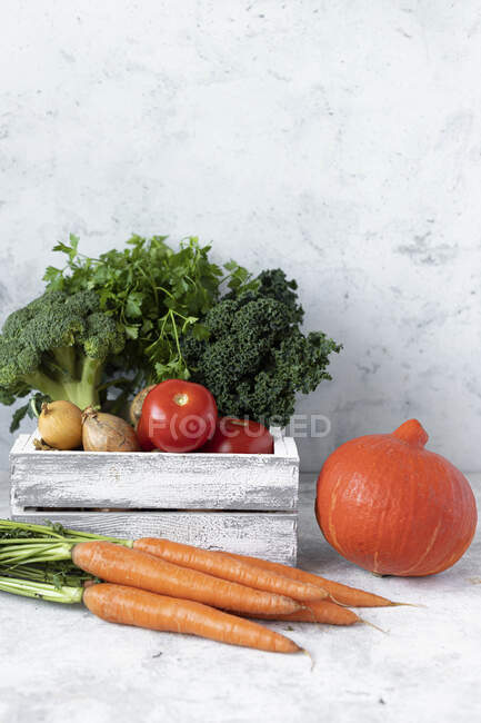 Свежие овощи и фрукты на сером фоне. вид сверху. — стоковое фото