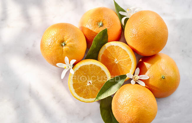 Naranjas frescas vista de cerca - foto de stock