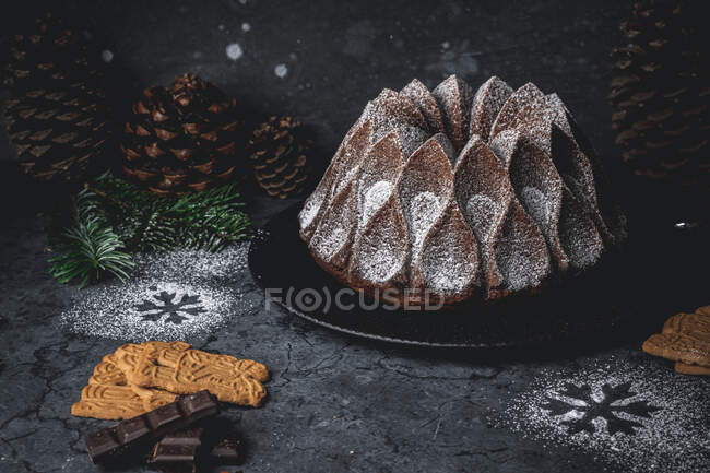 Chocolate and Speculoos gugelhupf with icing sugar — Stock Photo