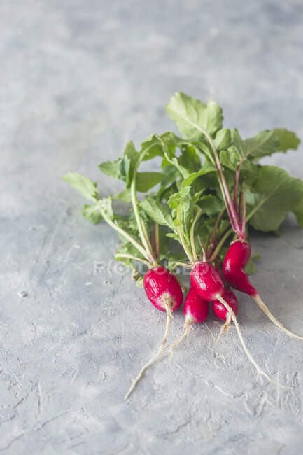 Fresh red radish on a gray background — Stock Photo