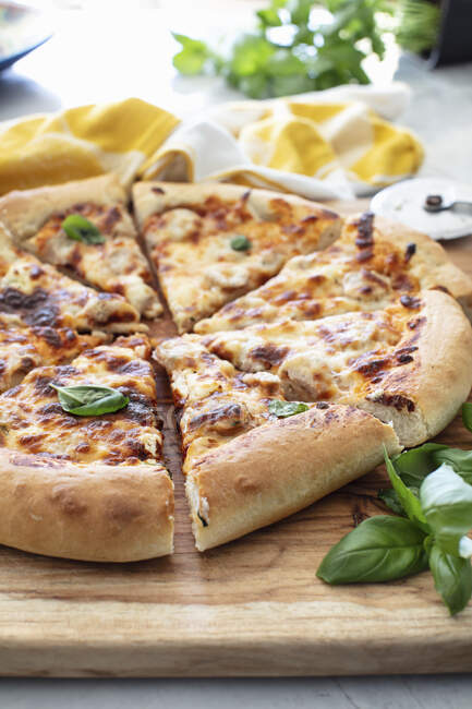 Pizza al formaggio con basilico — Foto stock