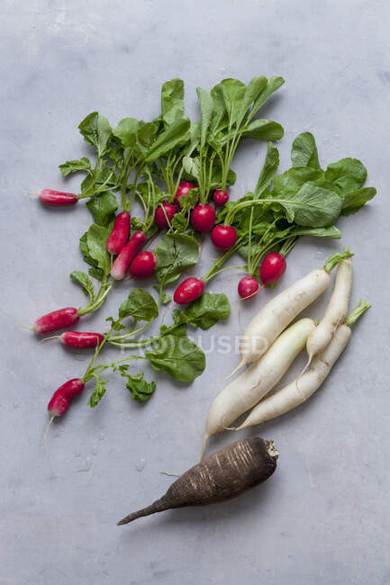 Fresh vegetables on a gray background. top view. — Stock Photo