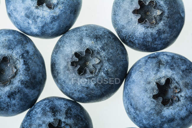 Fresh blueberries, close up shot — Stock Photo