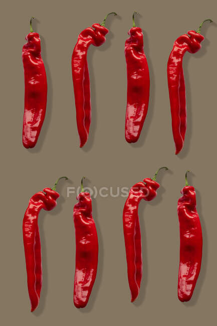 Two rows of red chillies on a brown background — Stock Photo