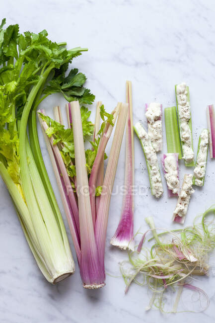 Celery with Gorgonzola cheese — Stock Photo