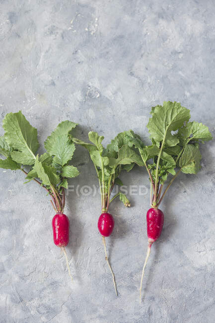 Fresh raw radish (flatlay) — Stock Photo
