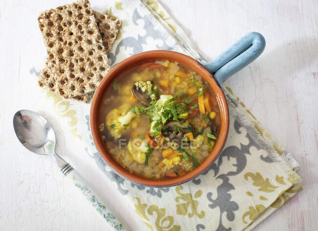 Vegetable soup with crackers — Stock Photo
