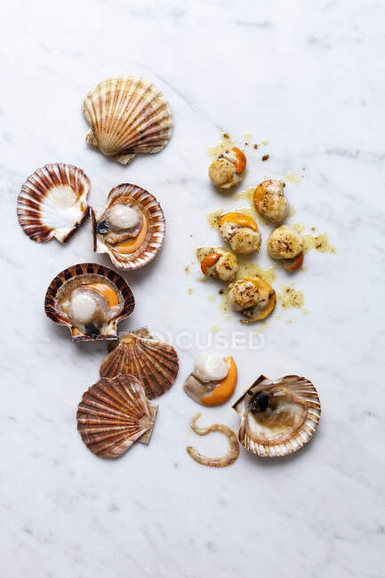 Fresh and fried scallops — Stock Photo