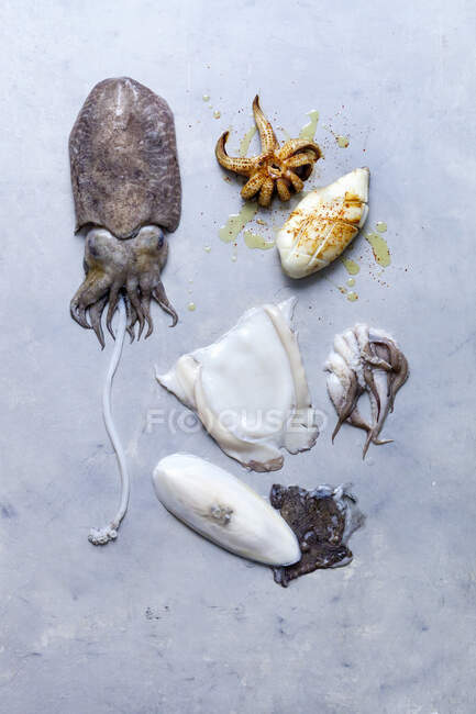 Squid, raw and prepared — Stock Photo