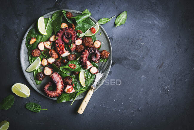 Gegrillter Krake-Chorizo-Salat — Stockfoto