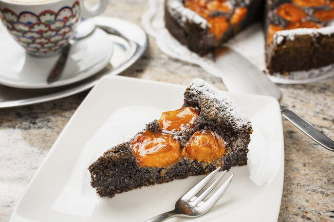 Poppy cake with apricots — Stock Photo