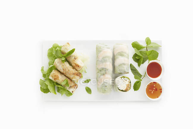 Summer rolls and mini Thai spring rolls — Stock Photo