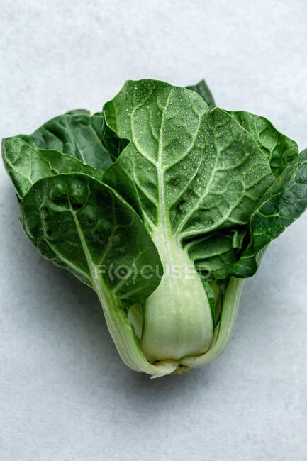 Foglie fresche di lattuga verde su sfondo bianco — Foto stock