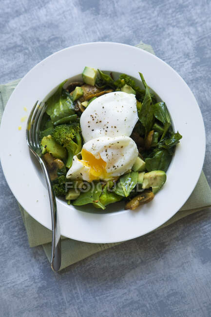 Salad with avocado, arugula and egg on a white plate — Stock Photo