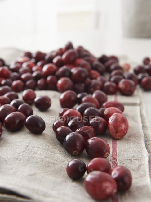 Cranberries ripe close-up view — Stock Photo