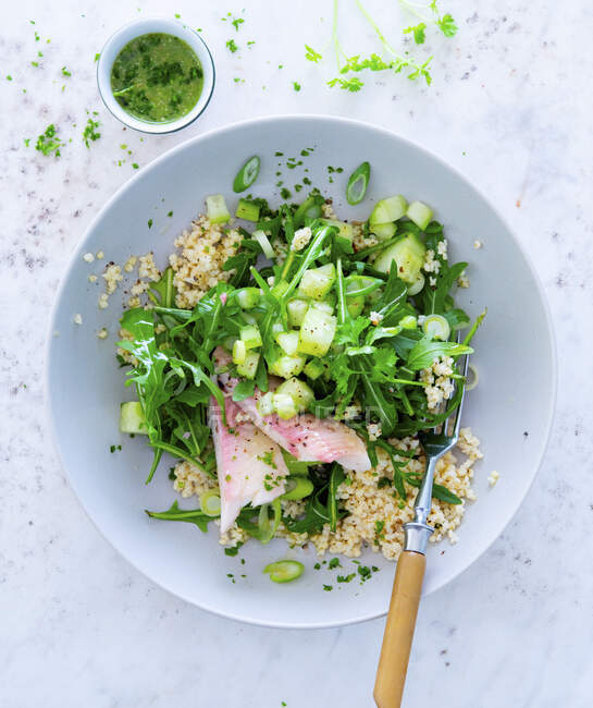 Millet salad with smoked trout, rocket and cucumber — Stock Photo
