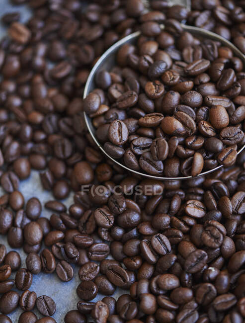 Chicchi di caffè vista da vicino — Foto stock