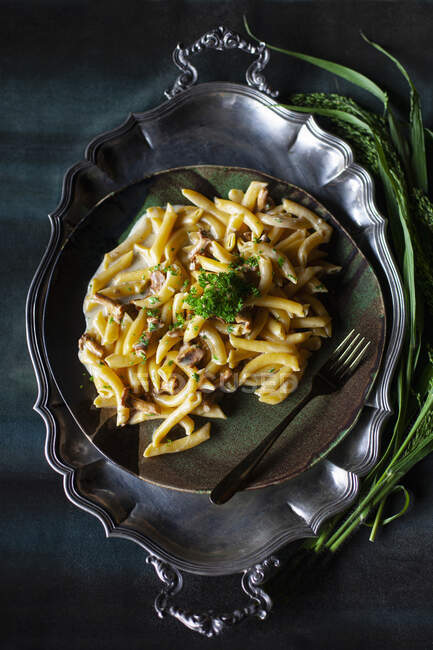 Penne pasta with fork - foto de stock