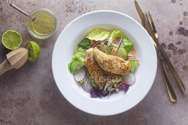 Mixed salad with chicken breast — Stock Photo