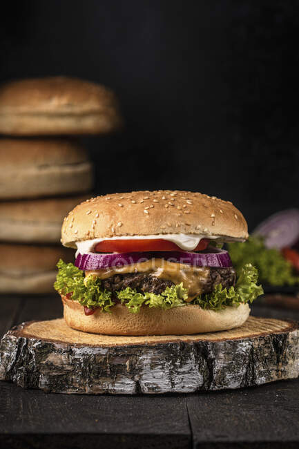 Cheeseburger classique aux tomates, oignons rouges et mayonnaise — Photo de stock