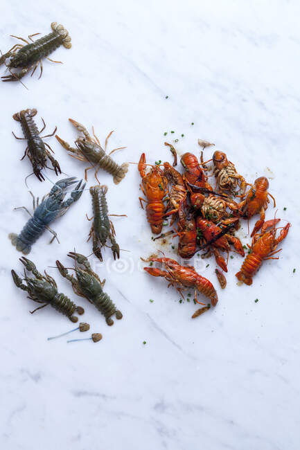 Crayfish, raw and prepared — Stock Photo