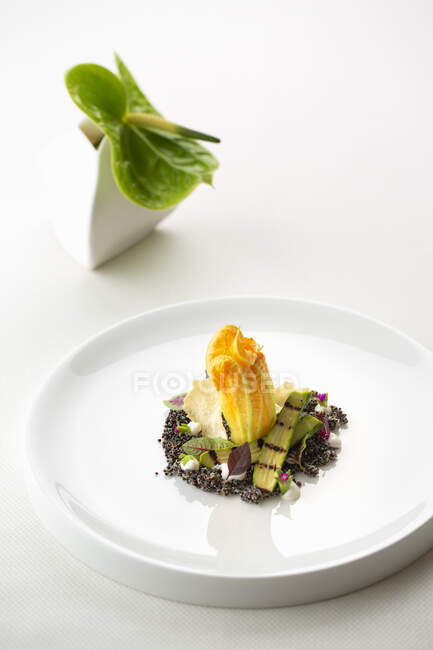 Fried courgette with burrata and chia seeds — Stock Photo