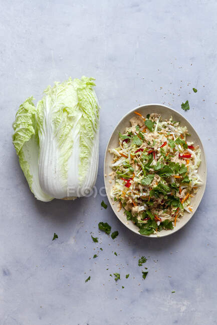Chinese cabbage salad with sesame dressing — Stock Photo
