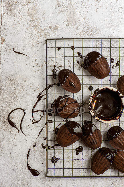 Madeleines de chocolate com molho de chocolate — Fotografia de Stock